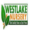 Westlake Nursery