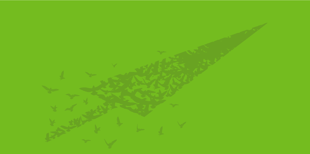 Dovetail Brand Engagement