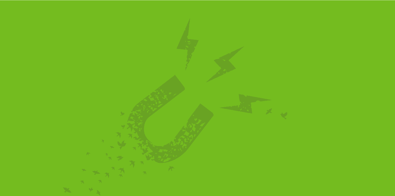 Dovetail Brand Engagement