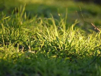 Here For You Home Care