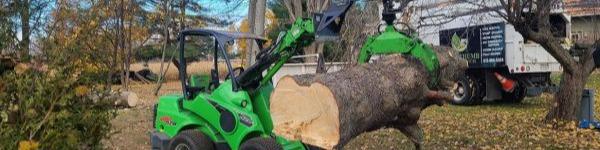 Green Thumb Tree Specialists Inc.