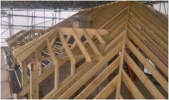 Absolute 1 Roofing Solutions