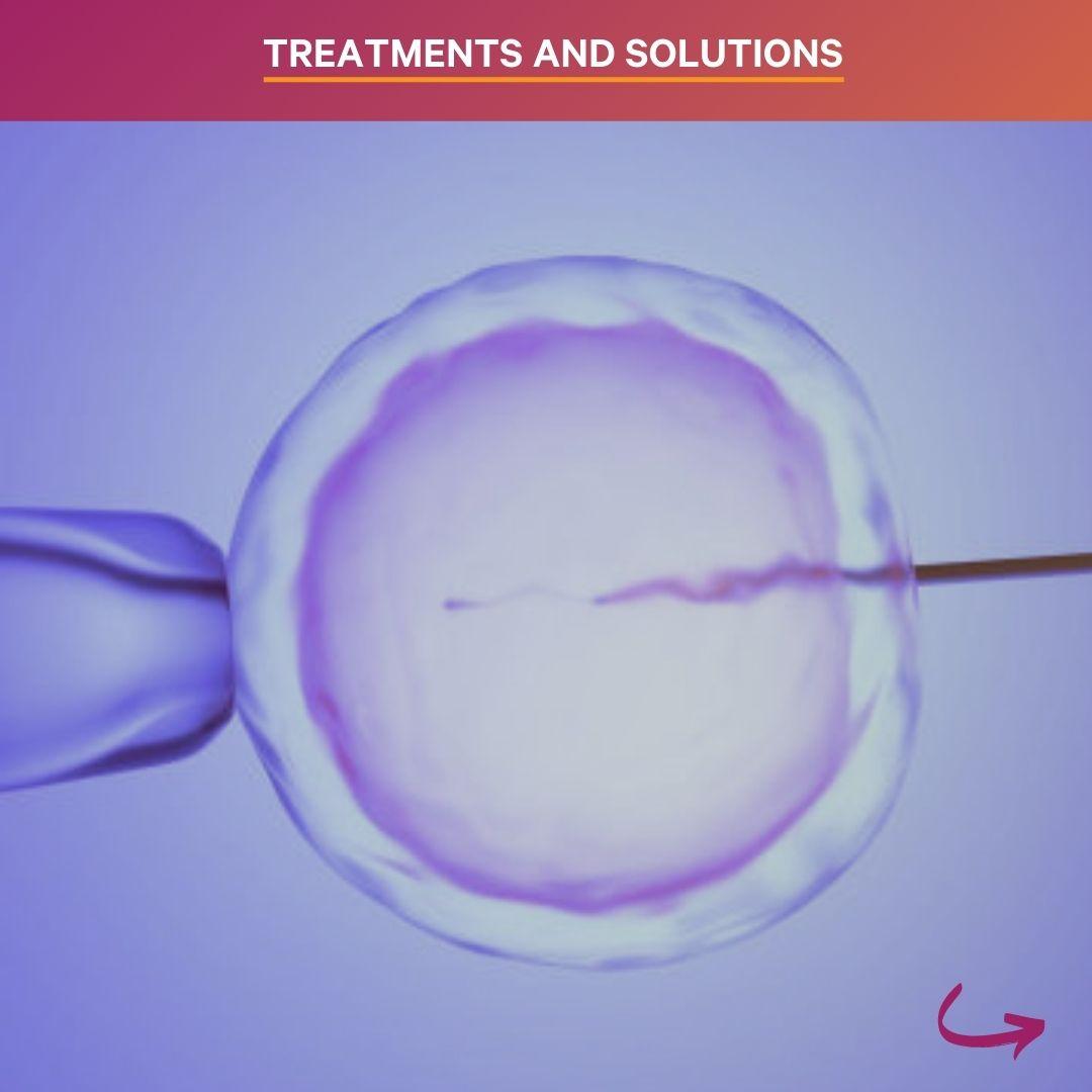 Generation Fertility