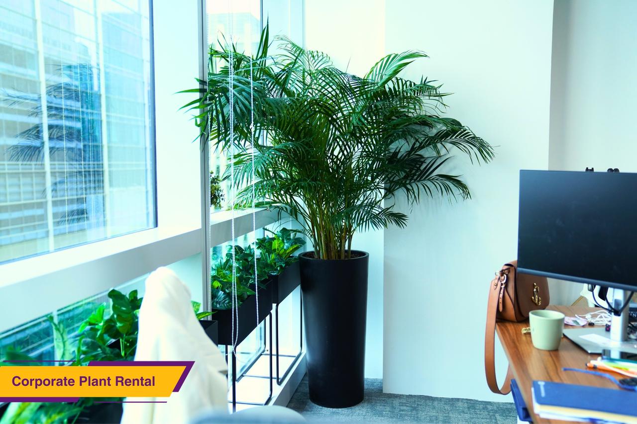 Prince's Landscape Pte Ltd