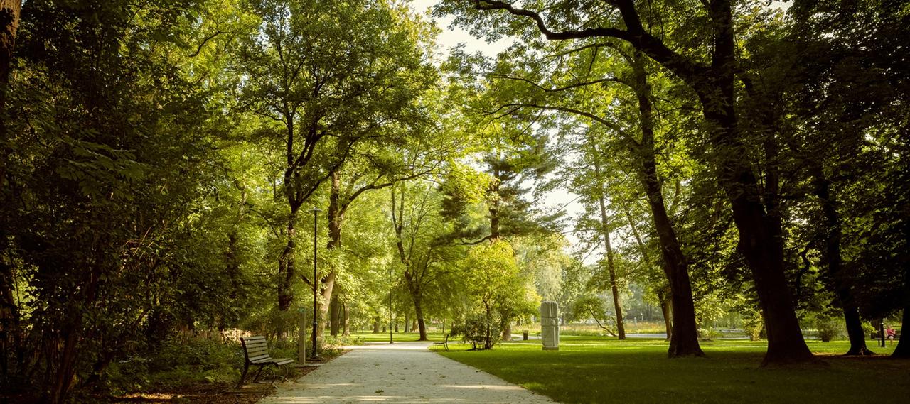 Devonshire Green Accountants London