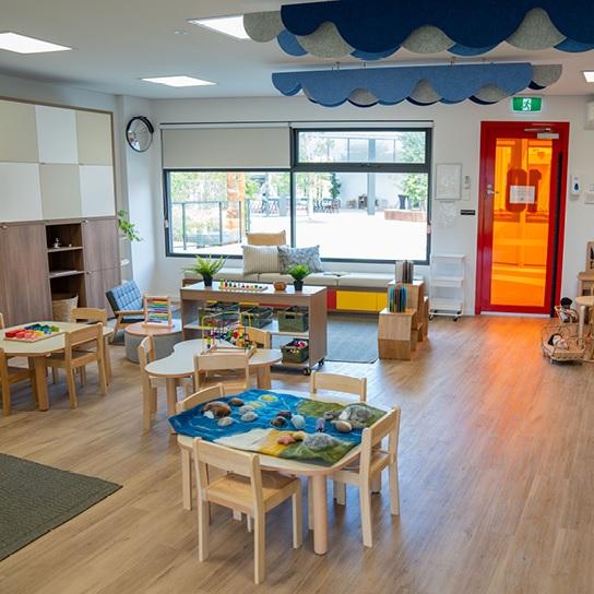 Kool Beanz SUNS Carrara