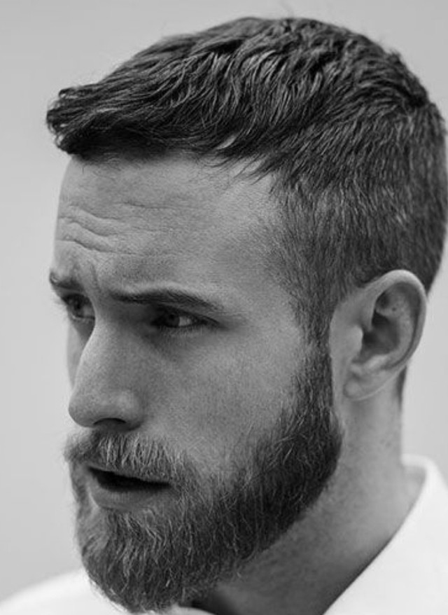 Beard & Haircut