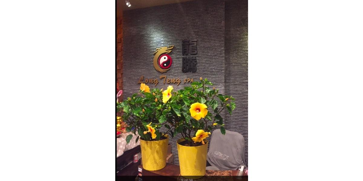 Long Teng II Massage Spa