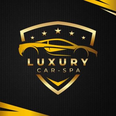 Mobile Luxury Car Spa Team