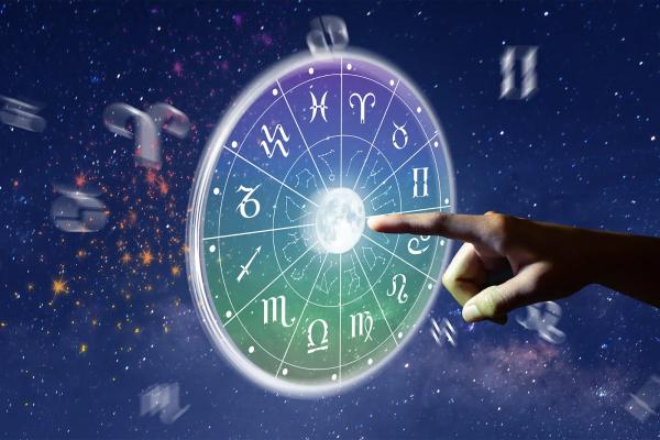 Astrologer Raman Ji