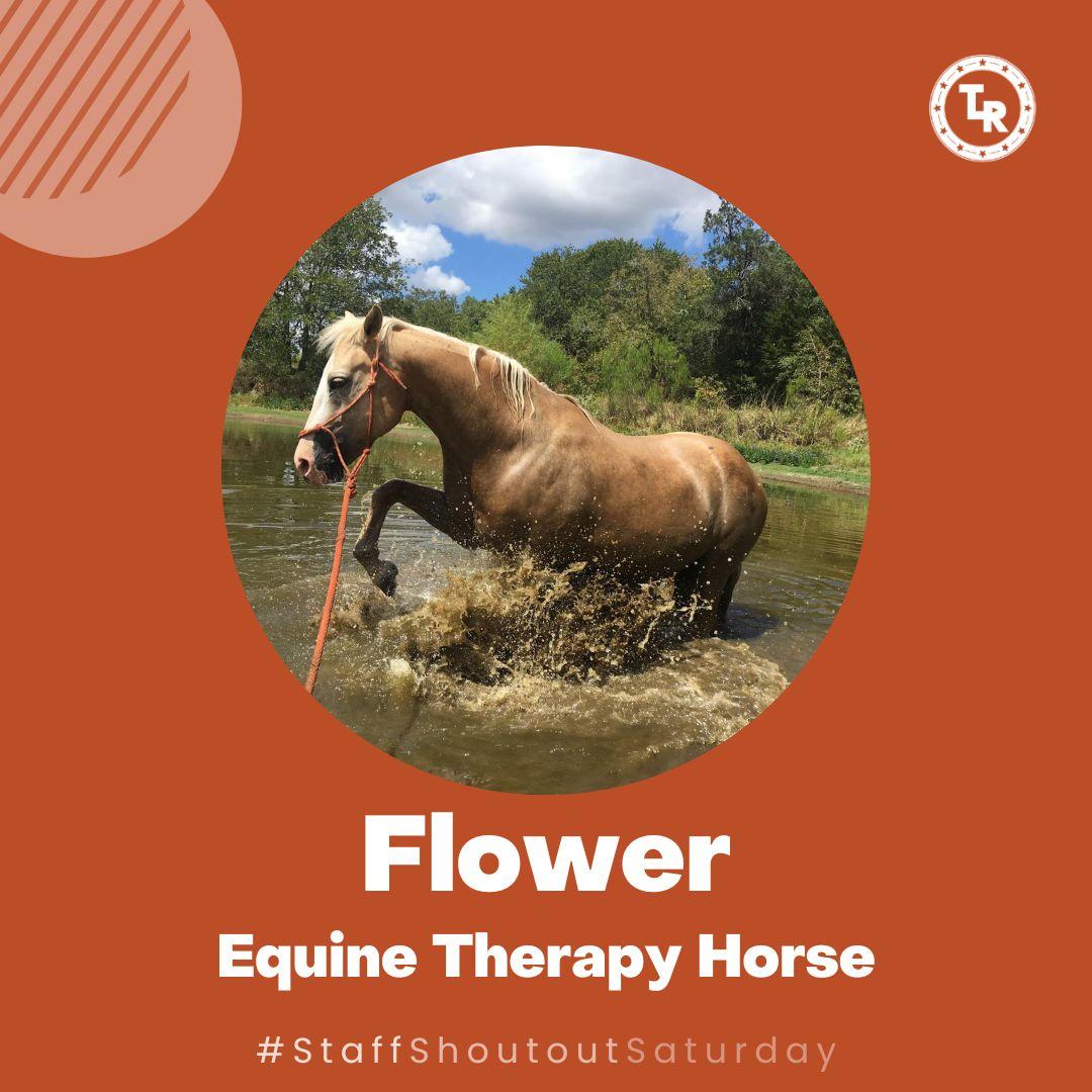 The Last Resort Recovery Center