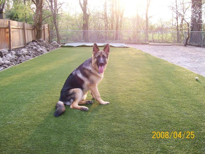 ForeverLawn Northern Ohio