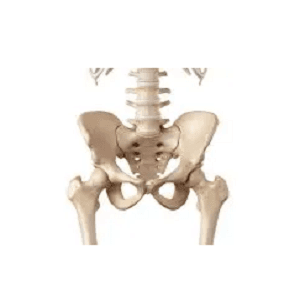 AOA Orthopedic