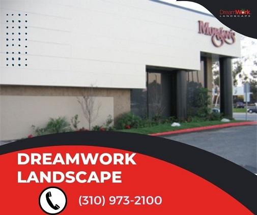 DreamWork Landscape
