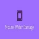 Mizuna Water Damage