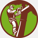 Tree Service Panama City FL