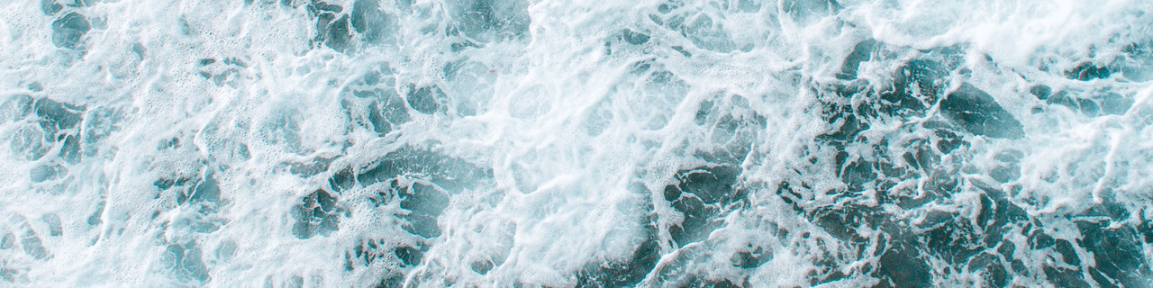 VerveMobileDetailing