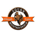 Squaw Mountain Ranch