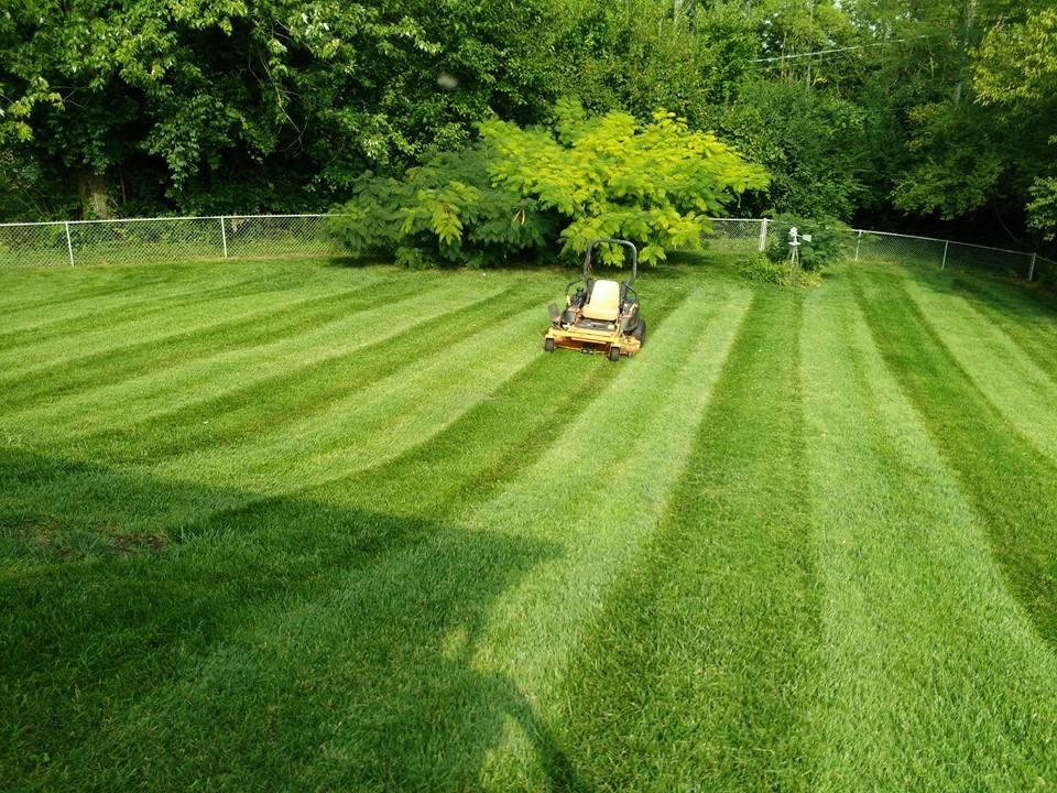 GreenPal Lawn Care of Seattle