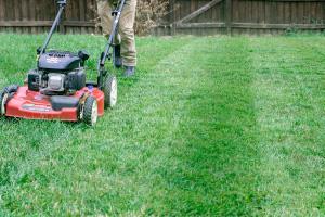 Irish Lawn and Landscaping