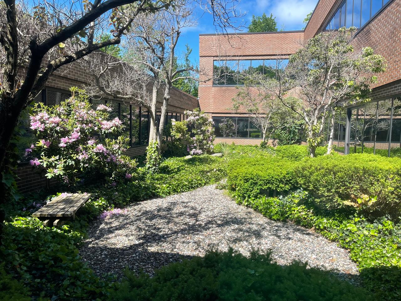 Horizon Business Strategies