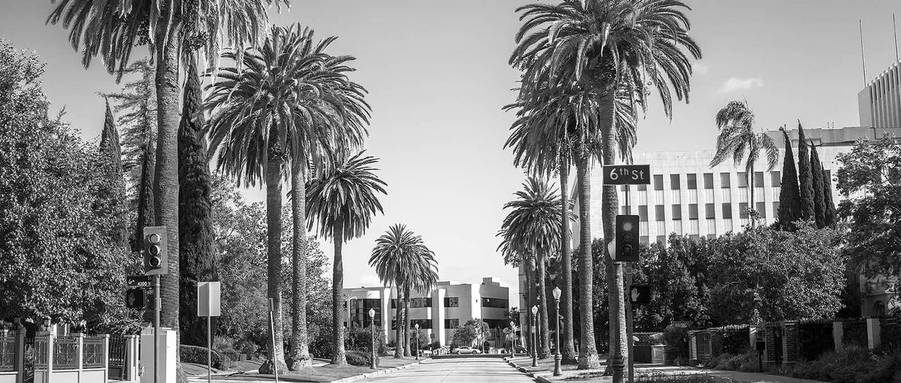 The Valerie Fitzgerald Group