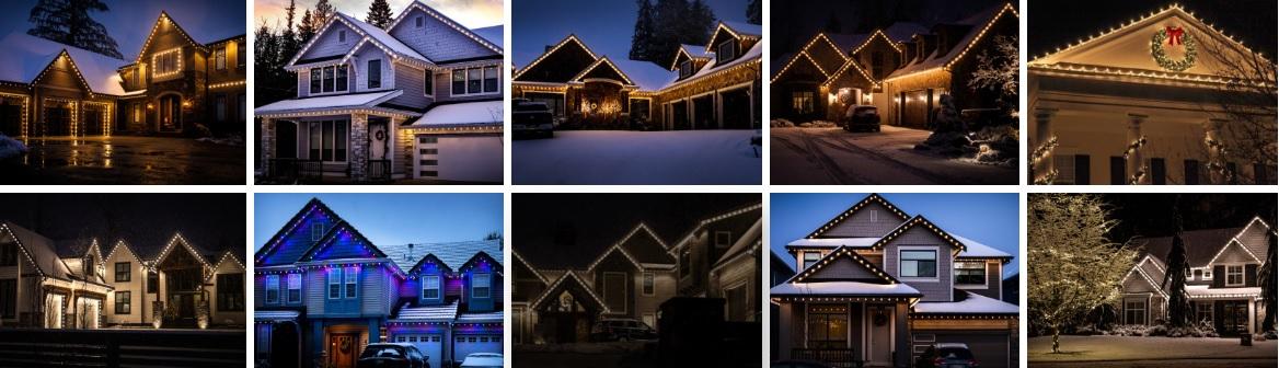 Holiday Light Professionals