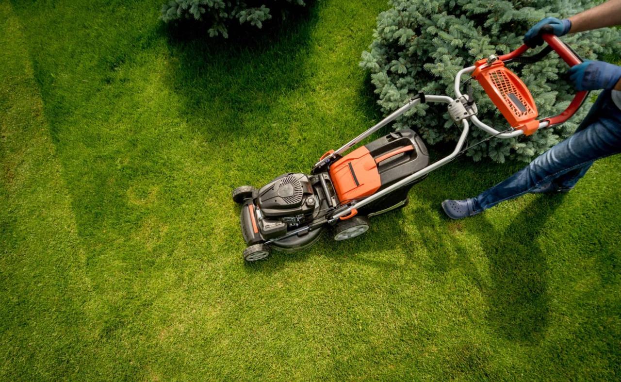 Quality Landscaping Services Garden Grove