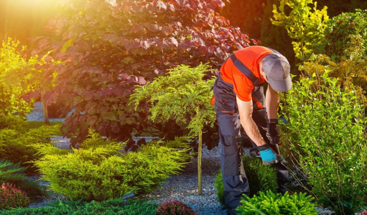 Pro Landscaping Company of Pasadena