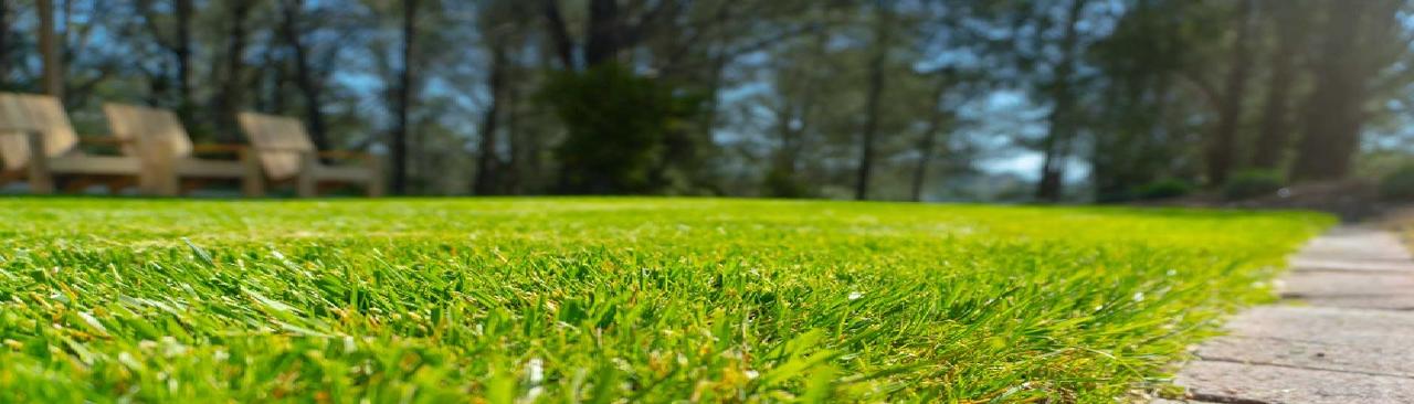 Grassroots Landscape Specialties, Inc.