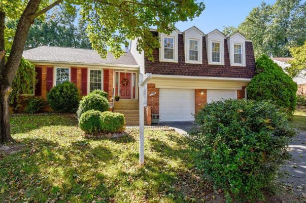 Wilkinson Property Management of Washington DC