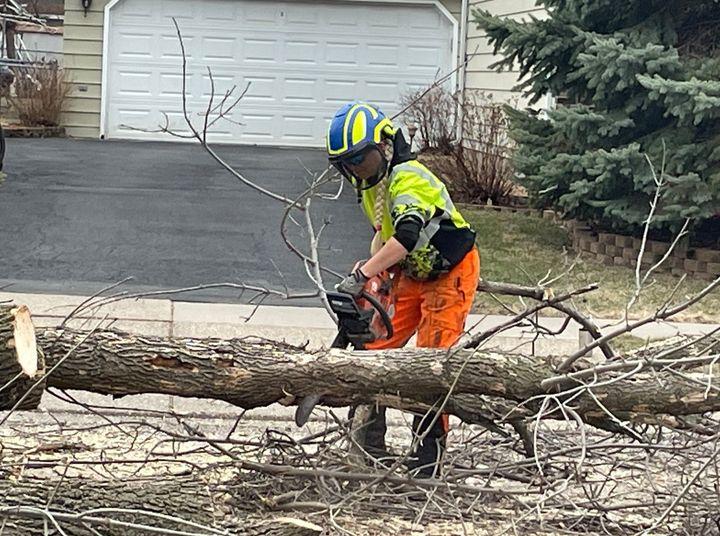 The Tree Removal Pros