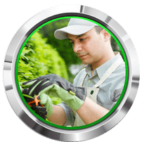 The Tree Removal Pros