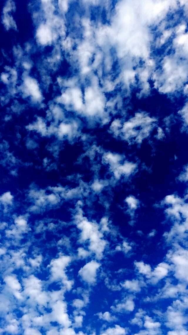 Naabu Auto Detailing