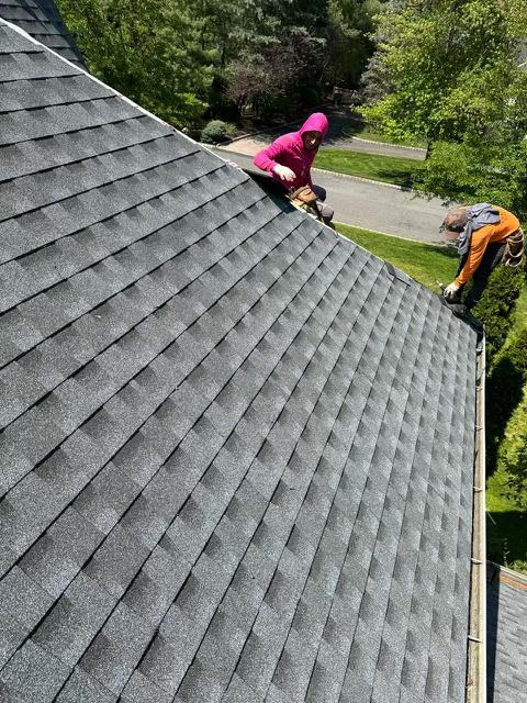 One New View Construction