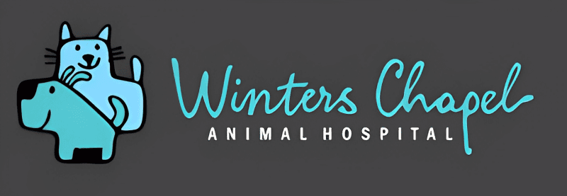 Winters Chapel Animal Hospital