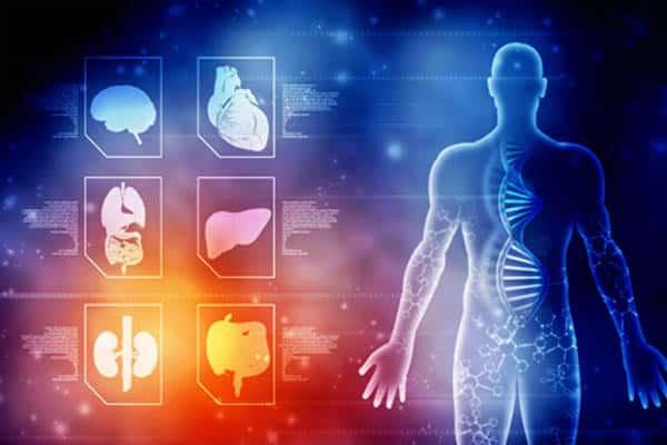 All American Medical