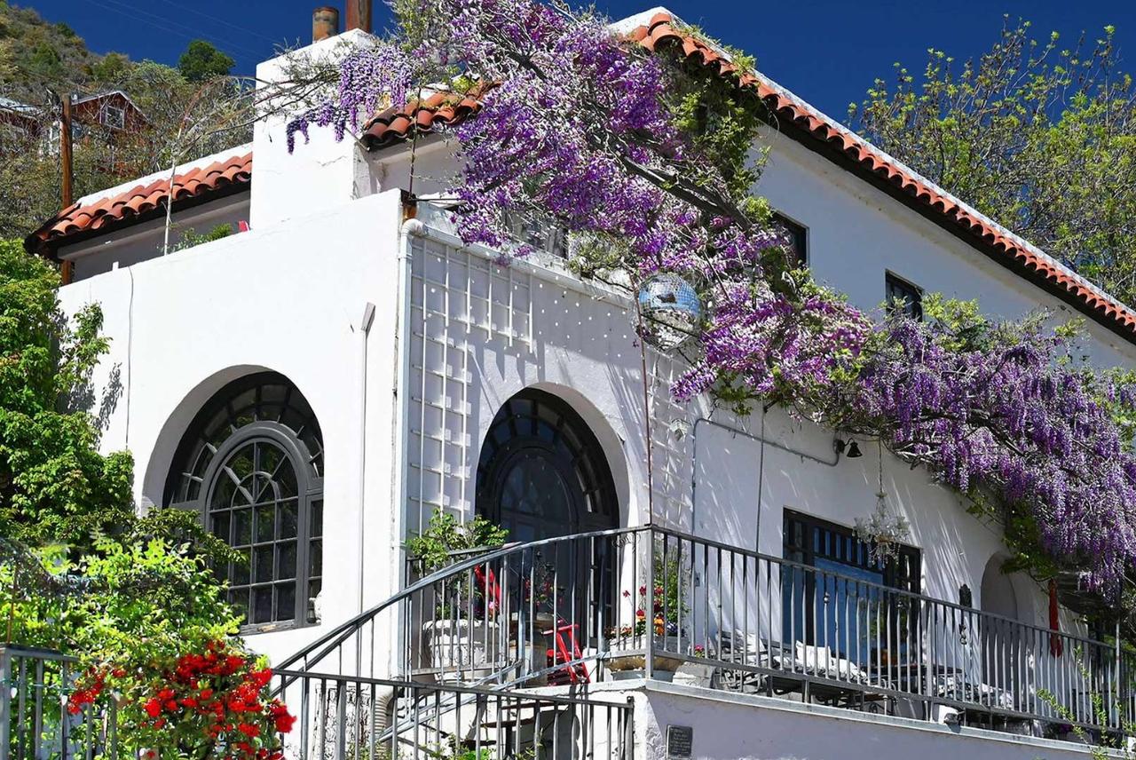 The Surgeon's House