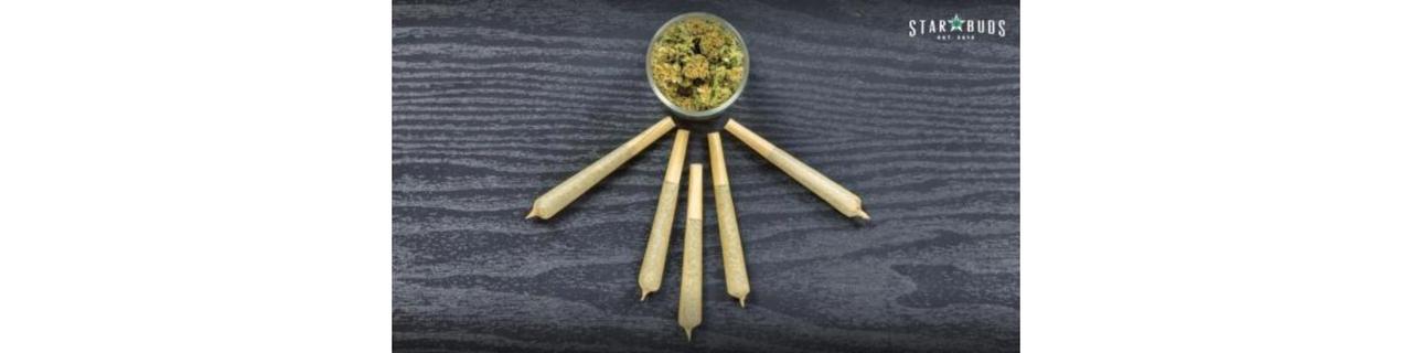 Star Buds Dispensary