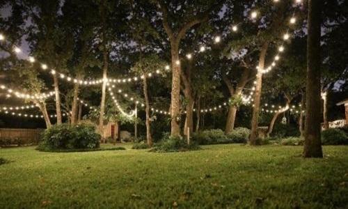 First Choice Lights