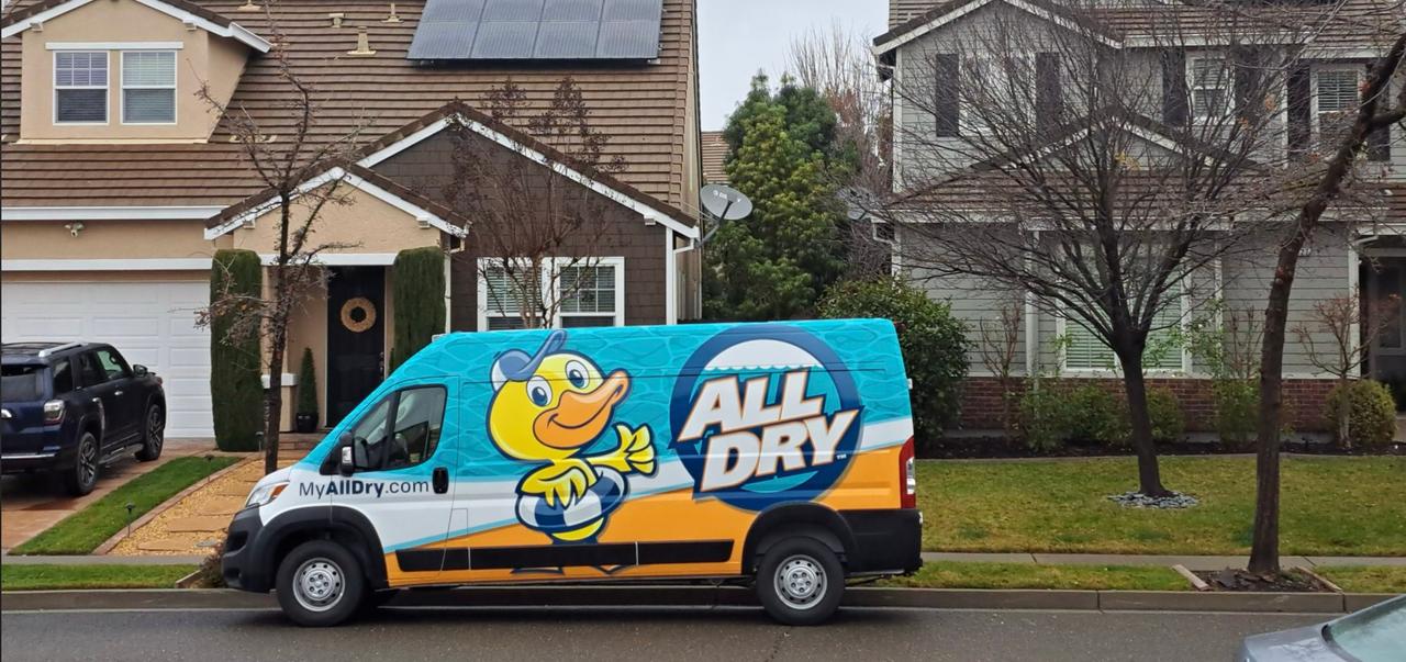 All Dry Services of Sacramento