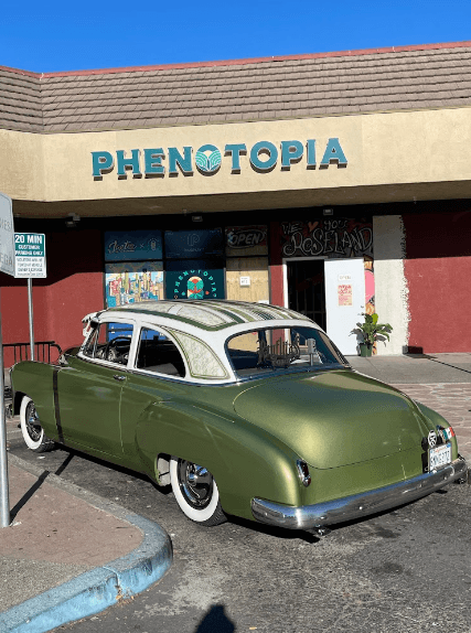 Phenotopia Dispensary - Santa Rosa