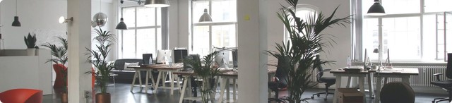 Commercial Cleaning Services