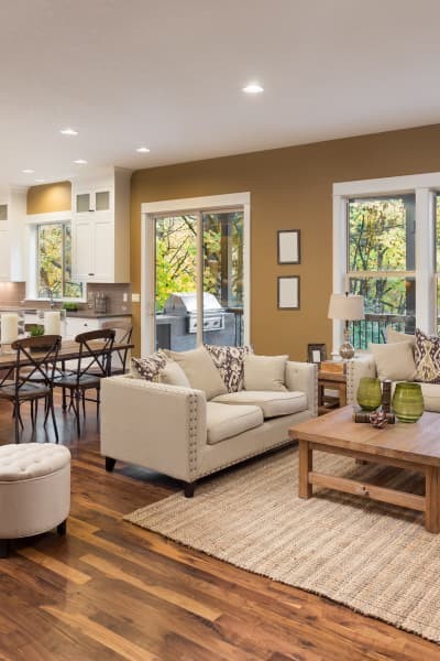 Premier Home Cleaning Services