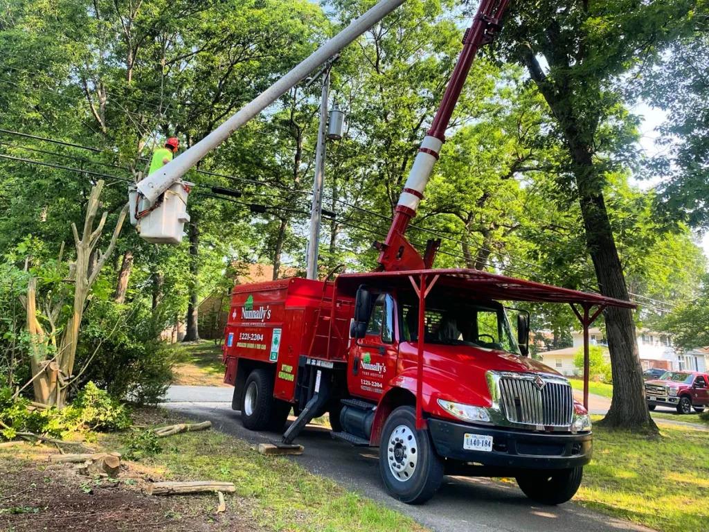 Nunnally's Tree Service
