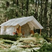 Paper Mill Pines Bed and Breakfast