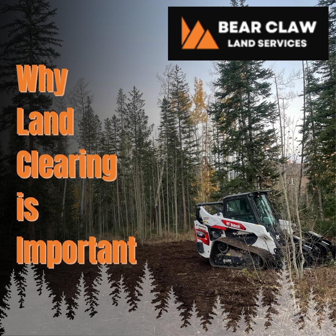 Bear Claw Land Services