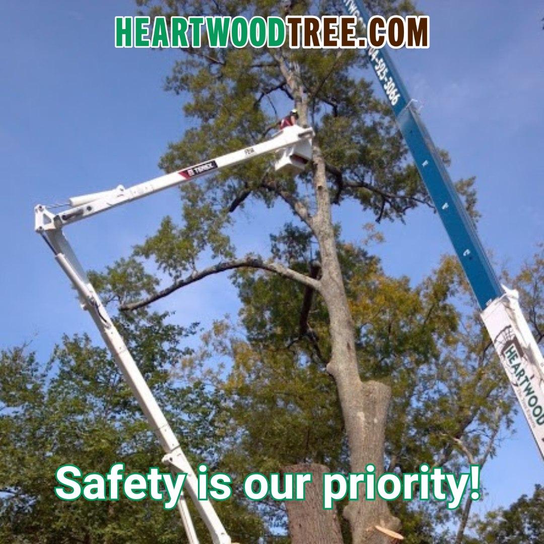 Heartwood Tree Service