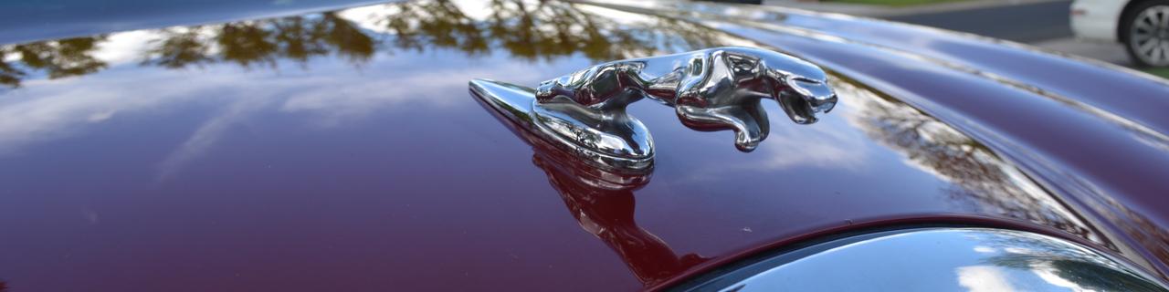 Fine Shine Mobile Detailing