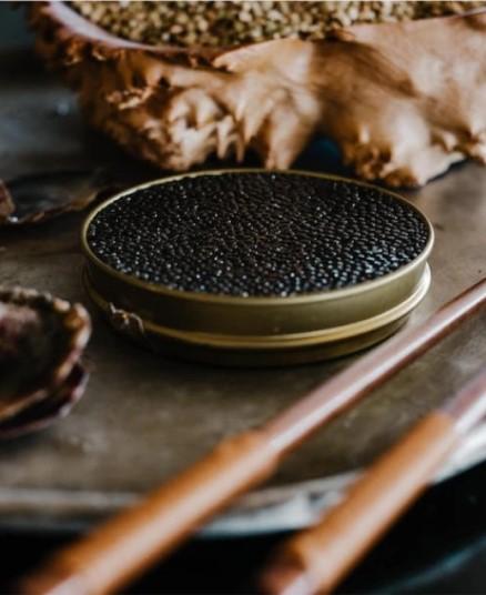 Saturiwa Trading Co.